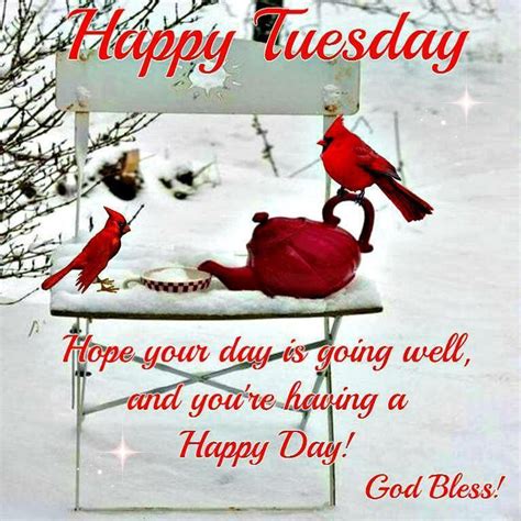 Happy Tuesday Hope Your Day Is Going Well Pictures Photos And Images