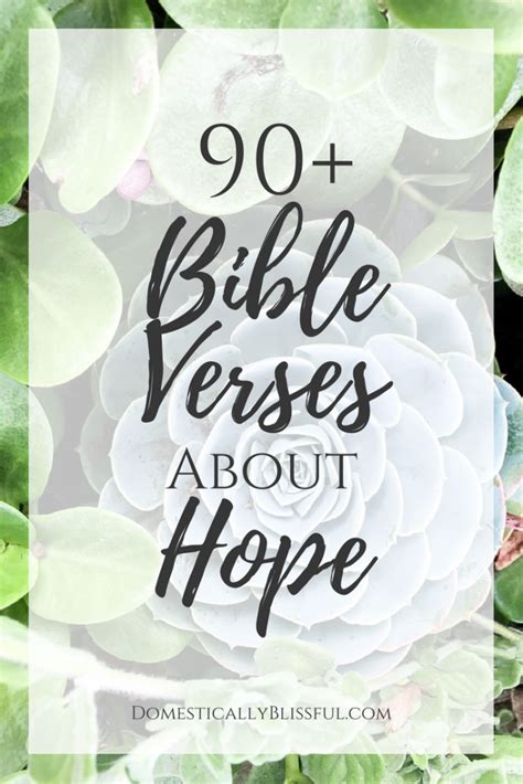 Bible Verses About Hope Domestically Blissful