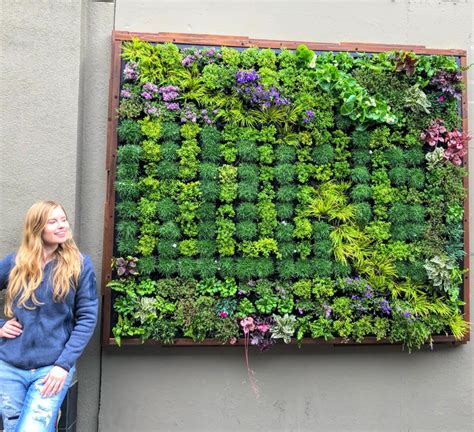 Plants On Walls Easy Affordable Living Walls You Can Grow