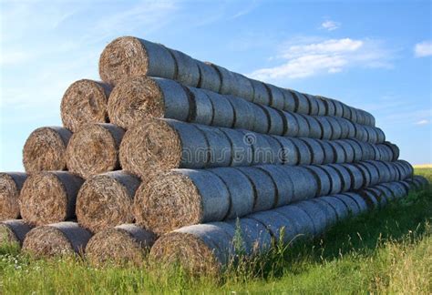 Round Hay Bales Stock Photo Image Of Agriculture Haystack 110924086
