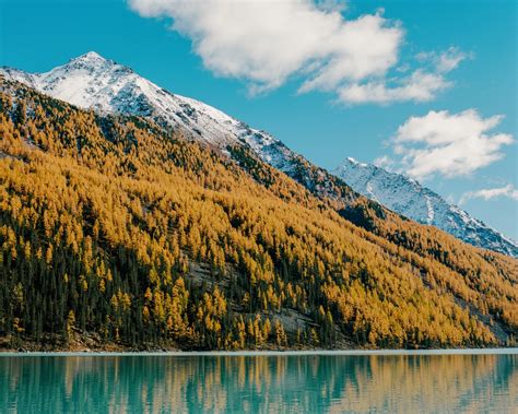 Кучерлинское озеро Алтай как добраться база отчет о путешествии