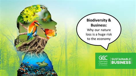 Biodiversity In Business Why Is Nature Loss A Huge Risk To The Economy