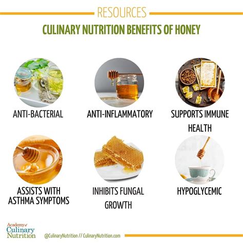 Culinary Nutrition Guide To Honey Nutrition Guide Nutrition Honey