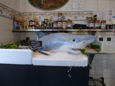 The salmon shark has low biological productivity with small litters and a biennial reproductive cycle. Fishmonger Shark Prank | "Killer shark" attacks Londoners af… | Flickr