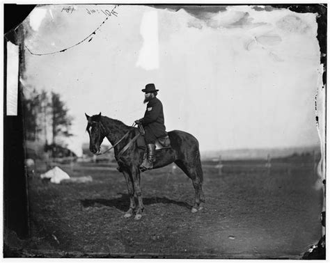 Horses Of The Civil War