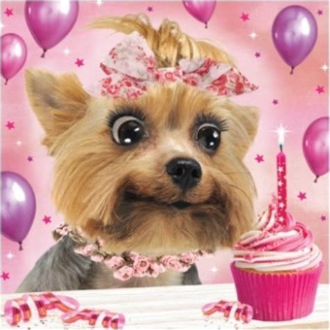£329 Gbp 3d Holographic Yorkshire Terrier Birthday Card Square