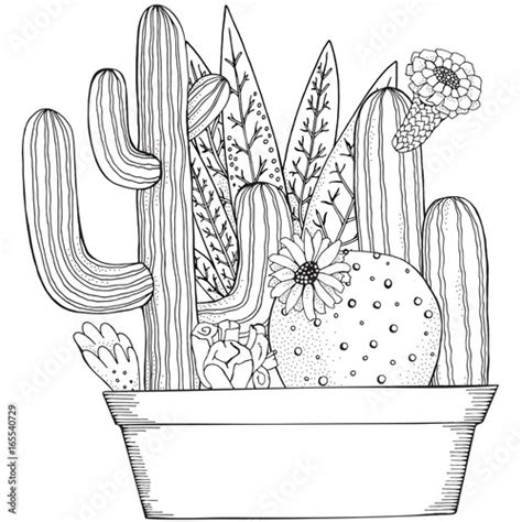 Hand Drawn Set Of Succulents And Cactus In Pots Doodles Elements