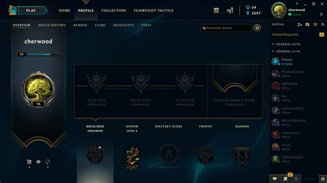 Profile Overview League Of Legends Interface In Game