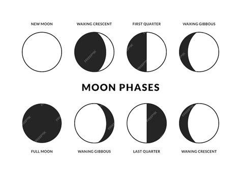 Premium Vector Moon Phases Icons Set Lunar Calendar New Full Moon