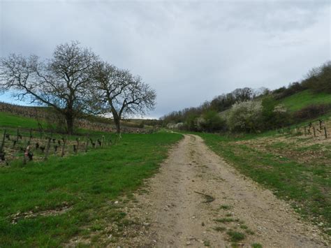 A Valley of Vines | winecountrywandering
