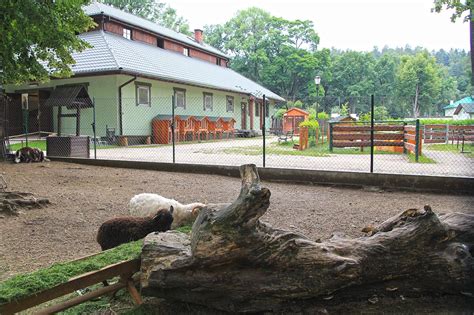 Jalan padang golf, 25050 kvantanas, pahangas, malaizija , uždarytas. Stajnia i mini zoo w Żywcu - Polskie Szlaki