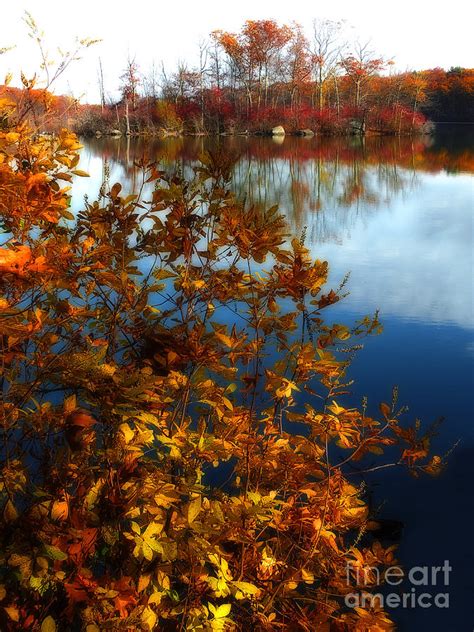 Autumn Island Photograph By Mike Nellums Fine Art America