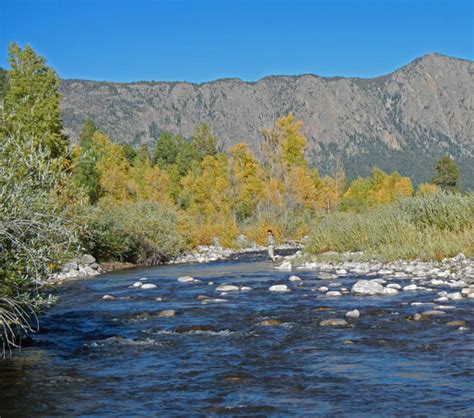 New Mexico Fly Fishing Photos And Images