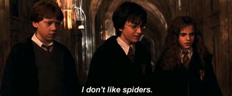 Harry Potter Spiders  Find And Share On Giphy