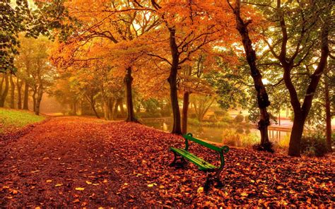 Rest Autumn Park Wallpapers Wallpaper Cave