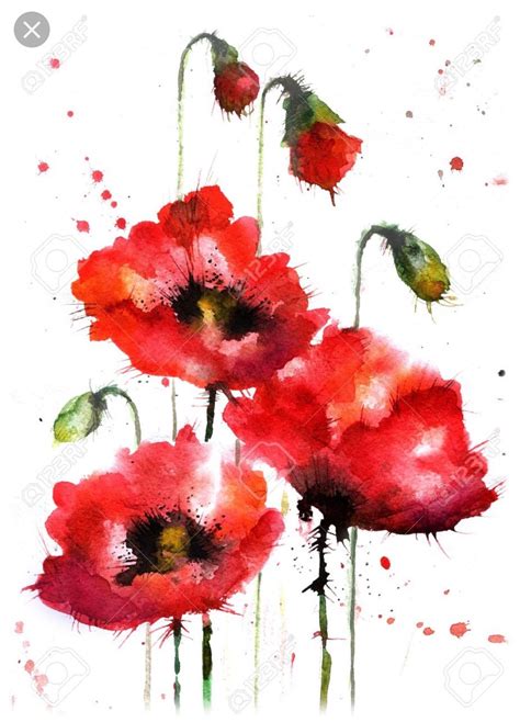 Pin By Susan Caton On Things To Paint Watercolor Flowers Paintings