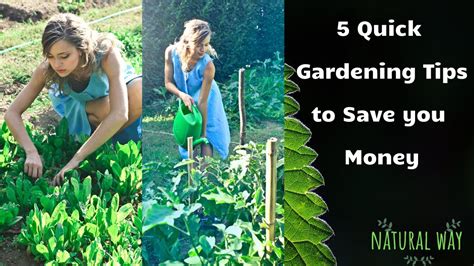 5 Quick Gardening Tips To Save You Money Youtube