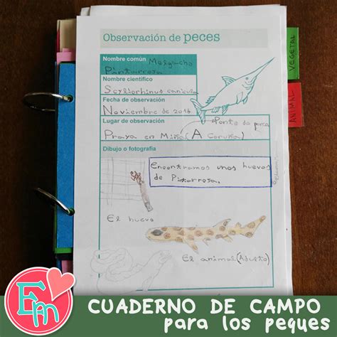 Cuaderno De Campo Para NiÑos Educativos