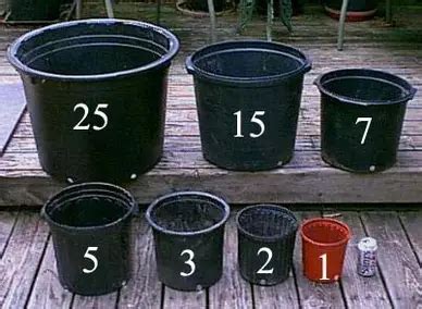 Pot Size Inches To Gallon To Liters Conversion Container Size