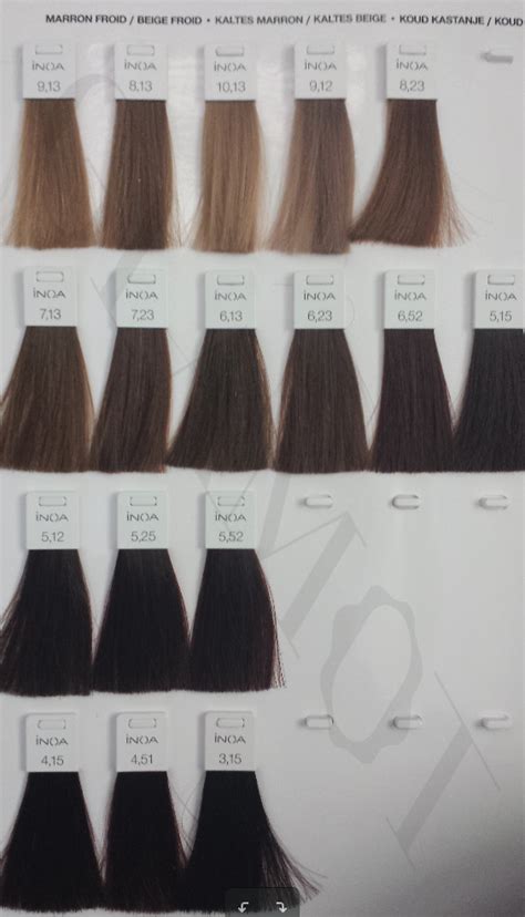 L Oréal Professionnel Inoa ODS2 permanent hair color without ammonia