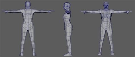 Why Is The T Pose The Default Pose Used When Animating 3d Models T