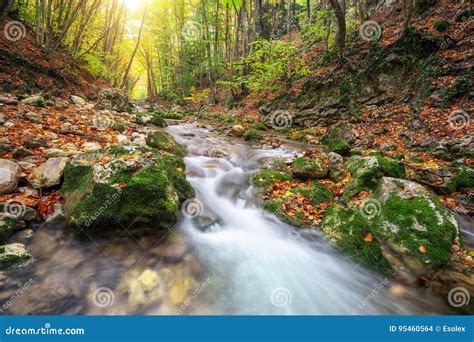 Autumn Creek Woods With Yellow Trees Foliage And Rocks In Forest Stock