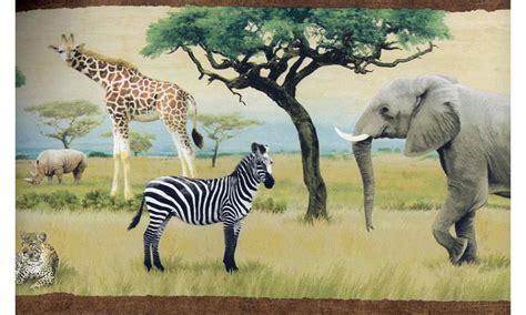 46 Woodland Animals Wallpaper Border On Wallpapersafari