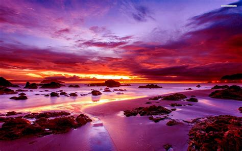 Purple Sunset on Rocky Beach wallpaper | nature and landscape | Wallpaper Better
