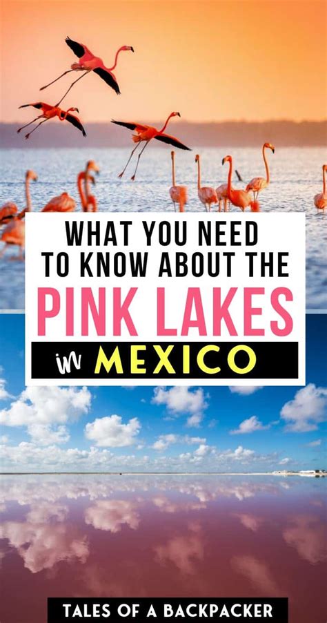Are The Pink Lakes In Mexico Worth Visiting Tales Of A Backpacker