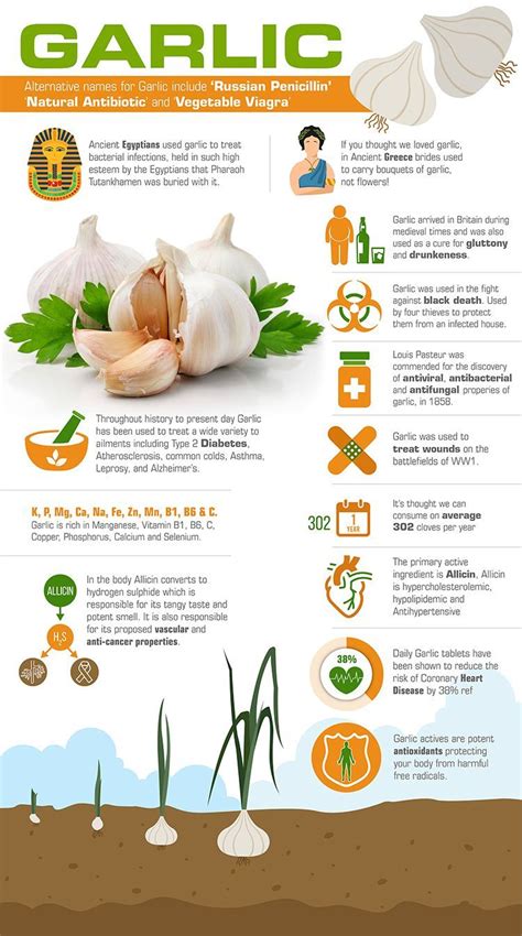 Benefits Of Garlic 1000 Mg Health Benefits
