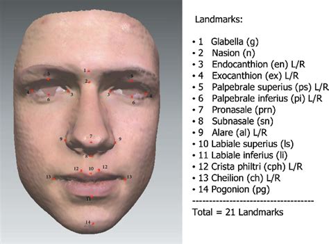 Figure 2 From The Influence Of Asthma On Face Shape A Three