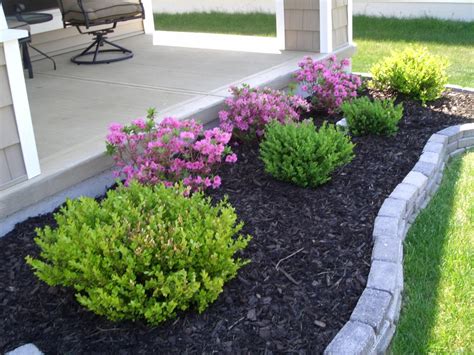 Are You Trying To Find The Perfect Landscaping Plants Landscape Plant