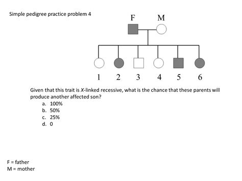 Pedigrees Practice Worksheet Answers Escolagersonalvesgui