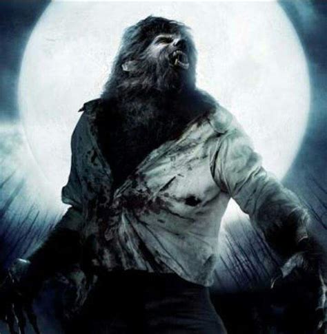 20 Curiosidades Sobre Los Hombres Lobo ♱ Terror Amino