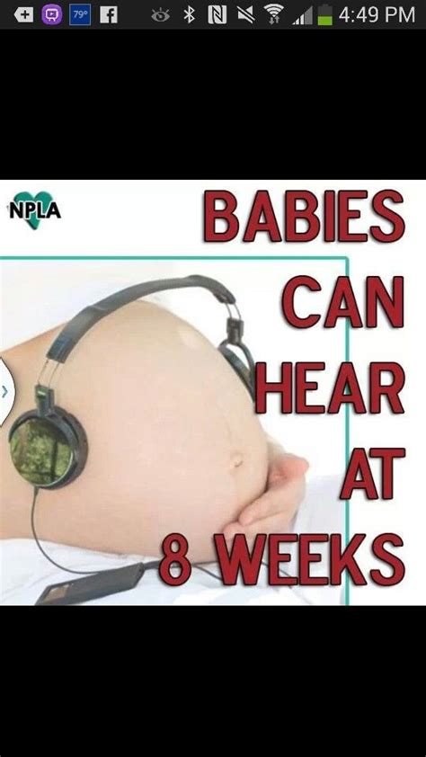 8 Weeks Gestation Fetal Development Parenting 101 Parenting