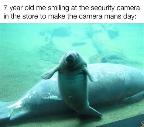 Wholesome Animal Memes To Start The Week Off Right Memes Animal