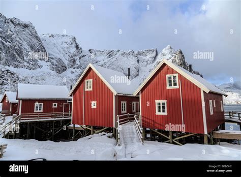 Fresh Snow Covering The Typical Norwegian Homes The Rorbu In The