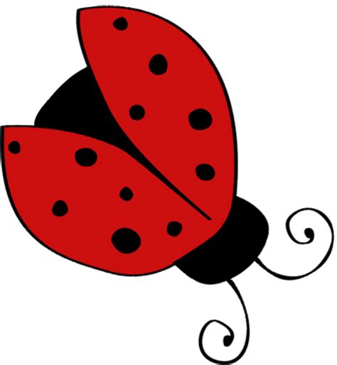 Download High Quality Ladybug Clipart Simple Transparent Png Images
