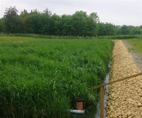 Vertical Flow Reedbeds Arm Ltd Esi Enviropro