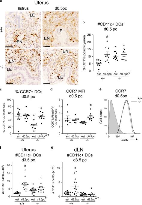 microrna mir 155 is required for expansion of regulatory t cells to mediate robust pregnancy