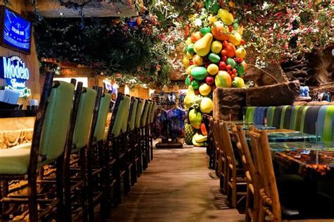 Rainforest Café Debuts With A Lava Lounge And Talking Tree Eater Vegas
