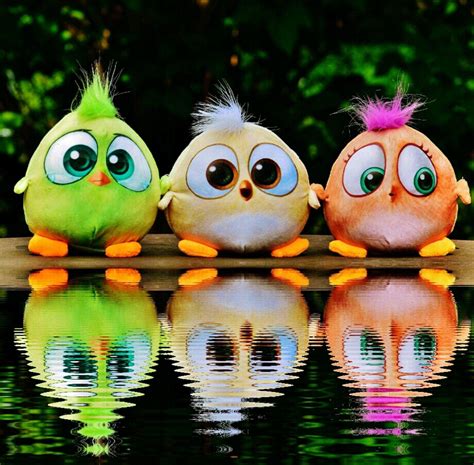 4k Angry Birds Desktop Wallpaper For Pc Angry Birds Wallpaper Hd Images