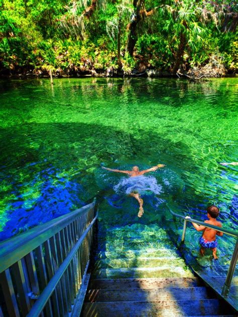 Best Manatee Encounters At Floridas Fantastic Blue Spring State Park