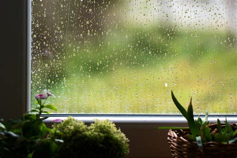 Rainy Season Tips In Maintaining Your House Mypropertyph