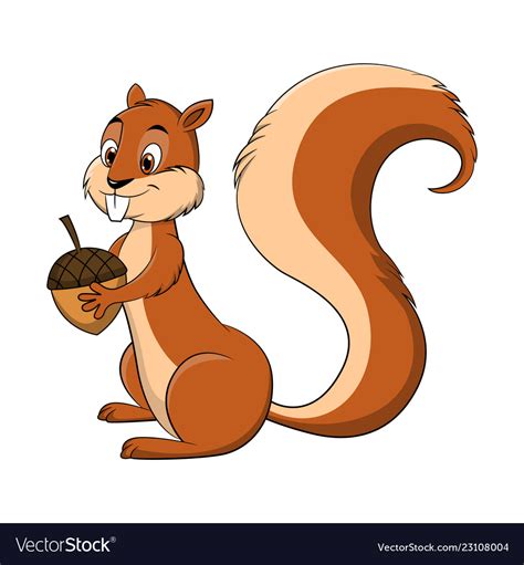 Cartoon Drawing Of A Squirrel Royalty Free Vector Image