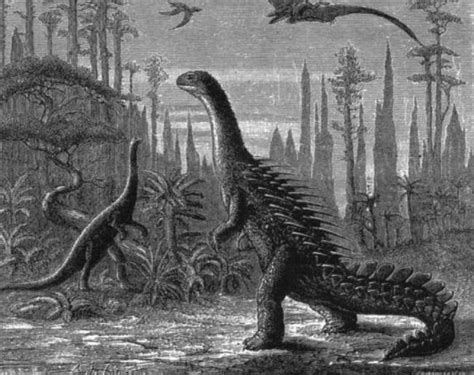 First Reconstruction Of Stegosaurus By Oc Marsh 1884 Rdinosaurs