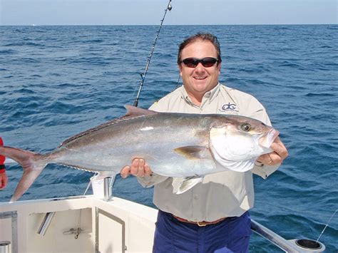 Greater Amberjack Reopens To Recreational Harvest In Gulf Waters Aug 1