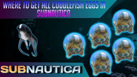Where To Find All Cuddlefish Eggs In Subnautica Youtube