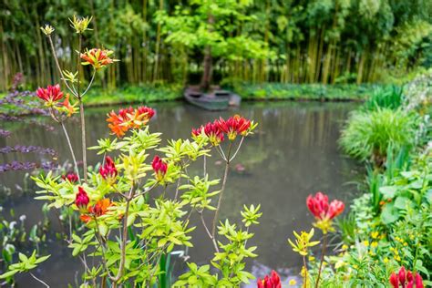 Claude Monet Garden British Columbia Garden Design Ideas