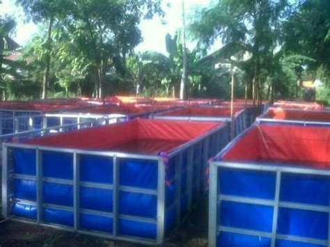 Jual Terpal Kolam X X A Di Lapak CV GUNAJAYA PLASTICA Bukalapak